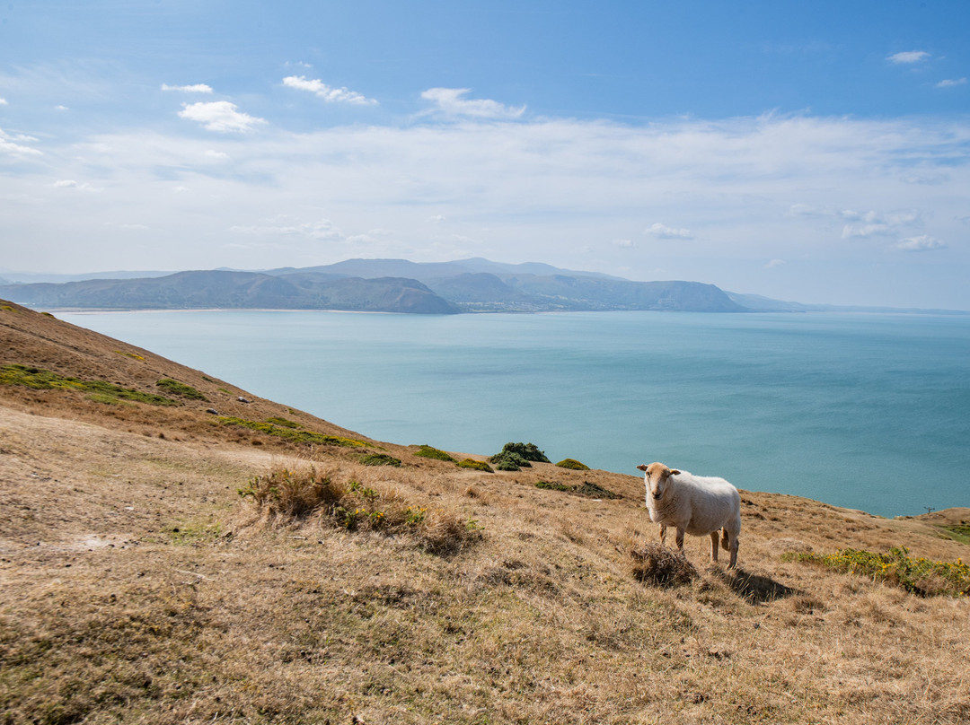 Llandudno Cable Car-兰迪德诺必去景点