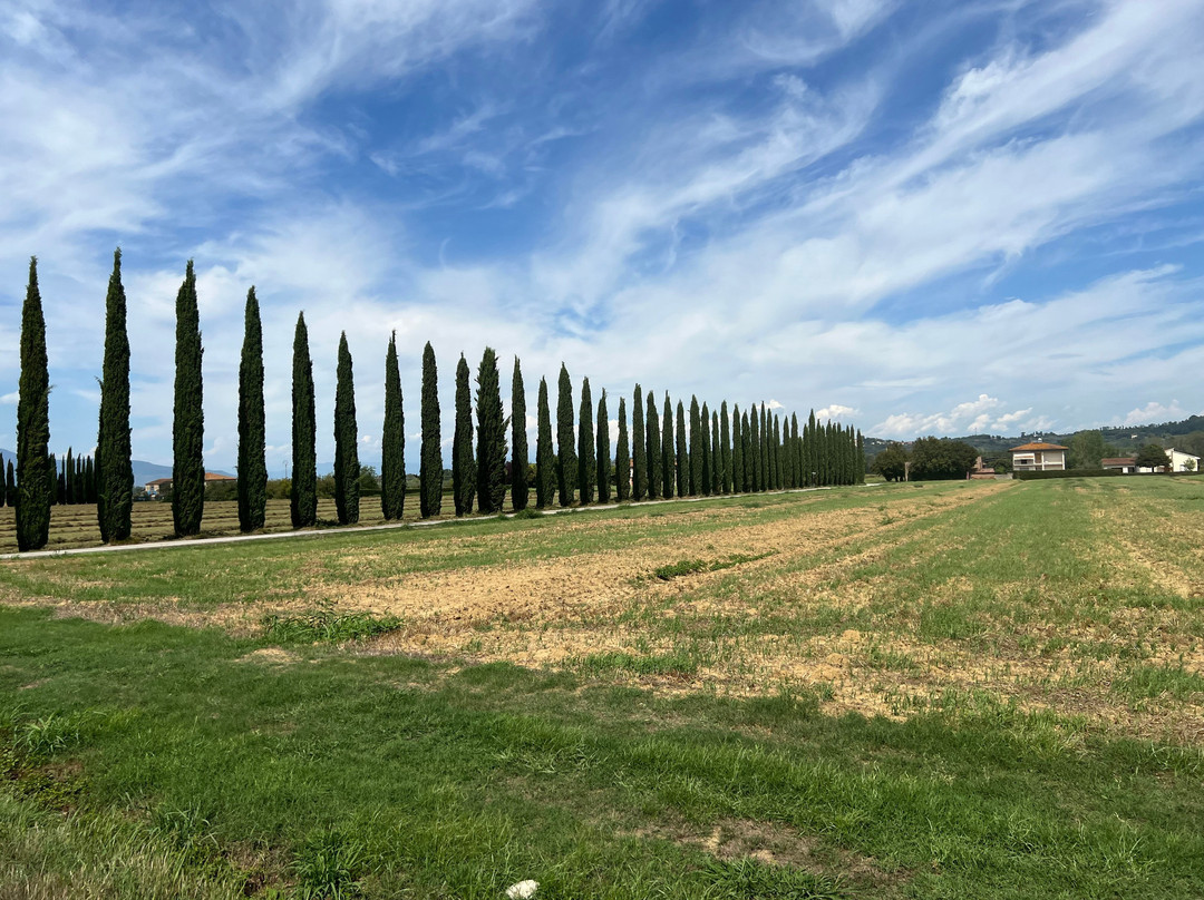 Tuscany for Cruise-里窝那必去景点