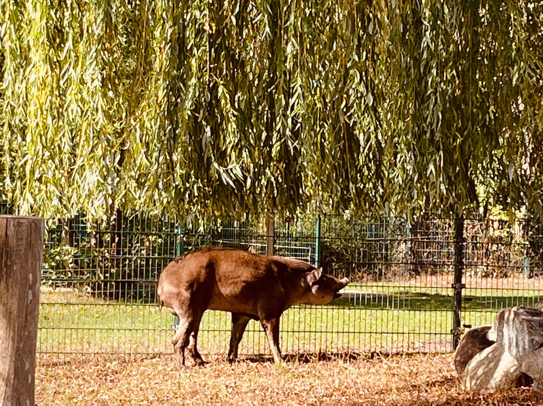 Jaderpark-Jaderberg必去景点