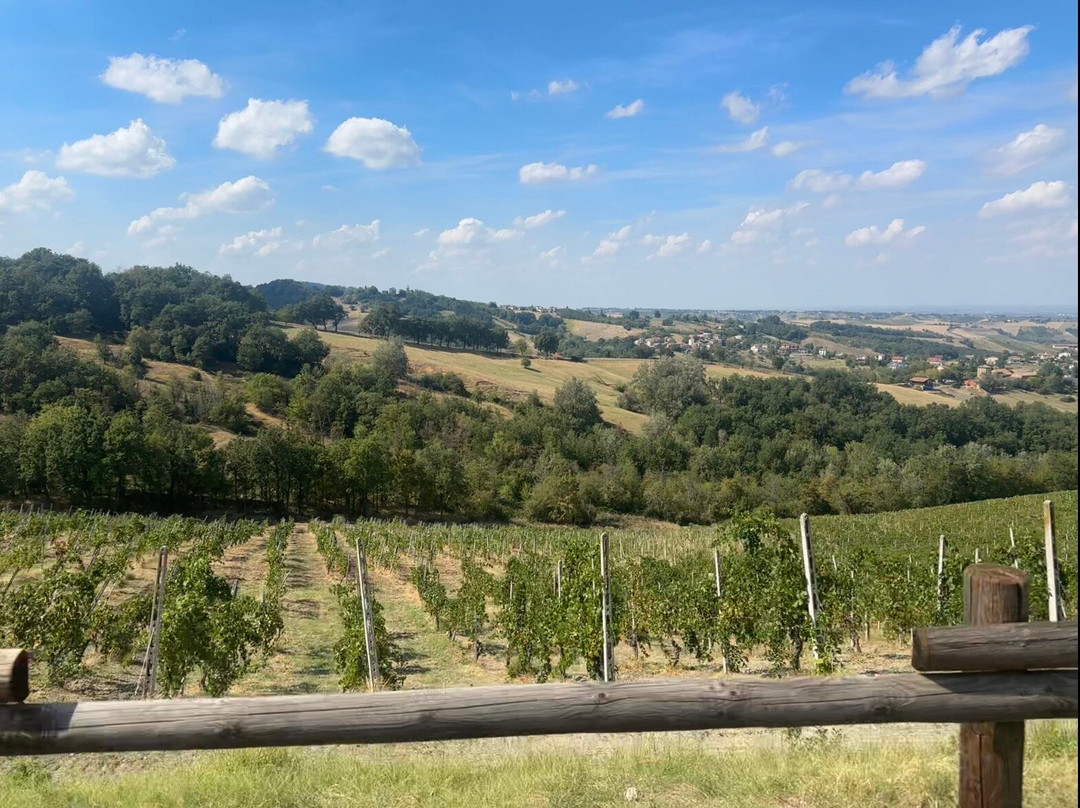 Cantina Il Poggio-萨尔索马焦雷泰尔梅必去景点
