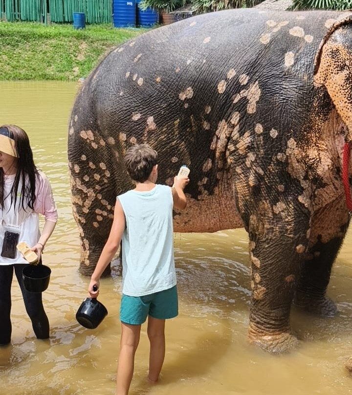 Kerchor Elephant Family Phuket-卡图必去景点