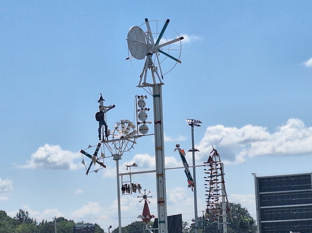 Vollis Simpson Whirligig Park-威尔逊必去景点