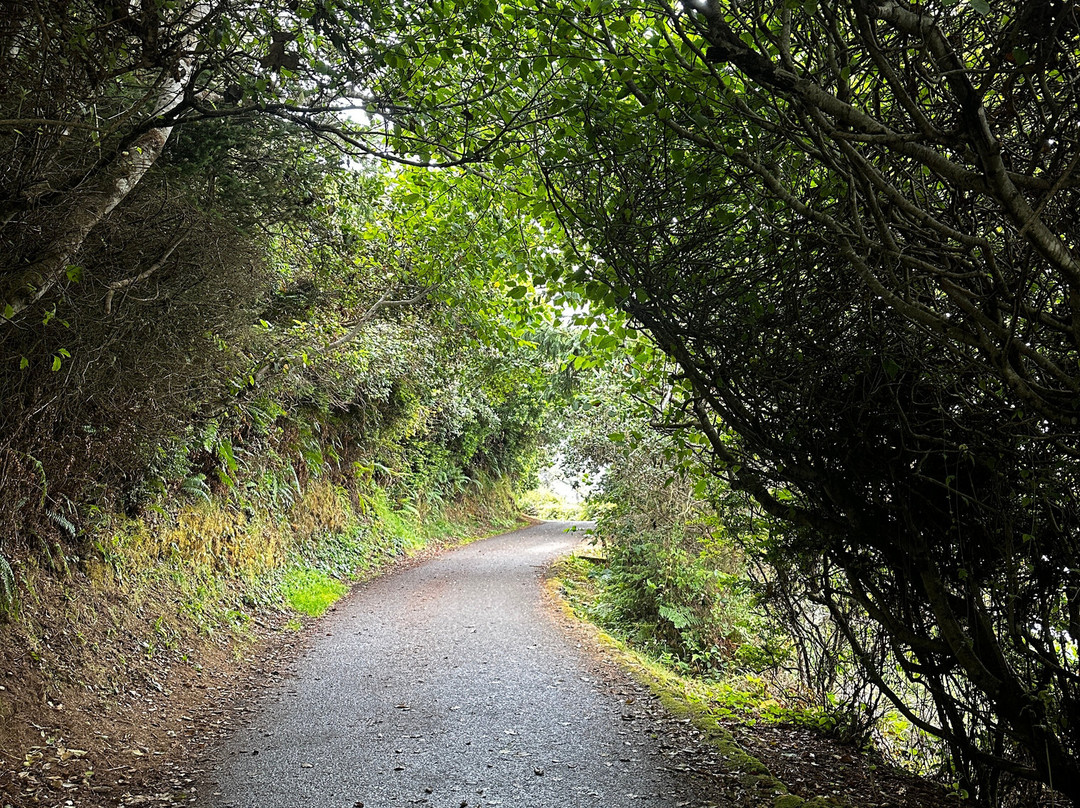 Trinidad State Beach-Trinidad必去景点