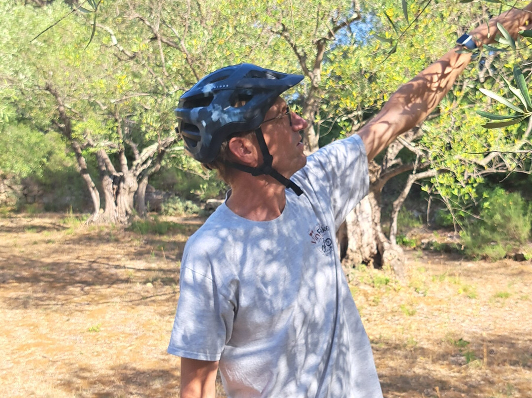 VinEbike-Saint-Chinian必去景点
