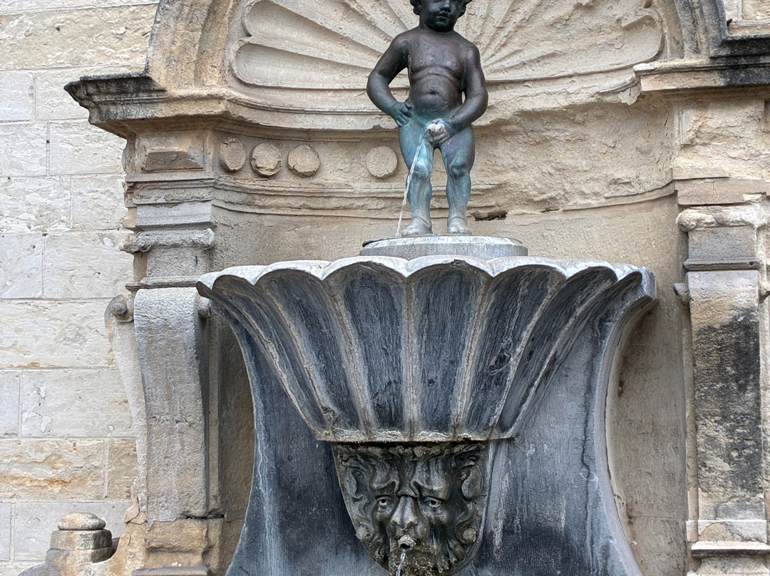 Manneken Pis-赫拉尔兹贝亨必去景点
