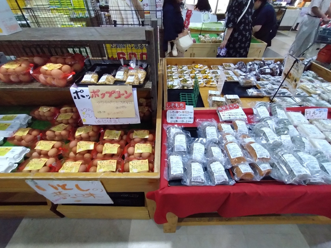 Yonoka Shiobara Michi-no-Eki-那须盐原市必去景点