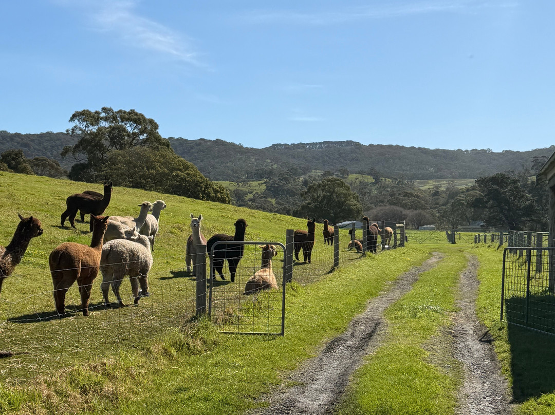 Softfoot Farm & Wildlife Park-Hindmarsh Valley必去景点