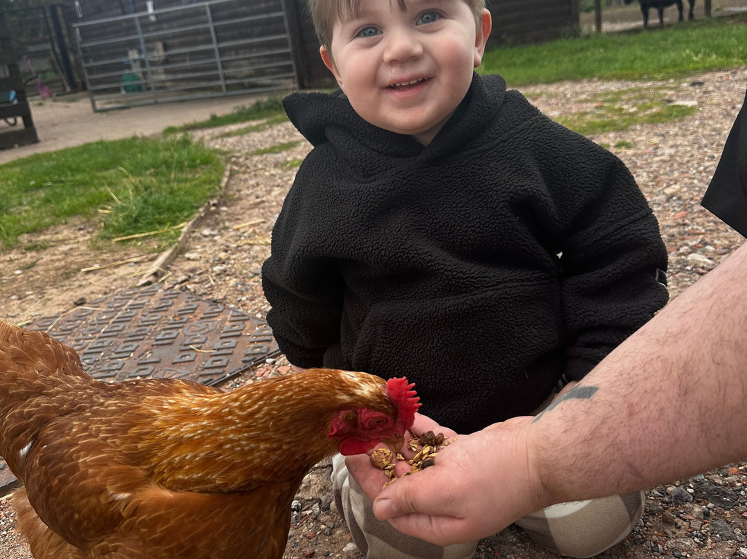 Willow Tree Family Farm-Shirebrook必去景点