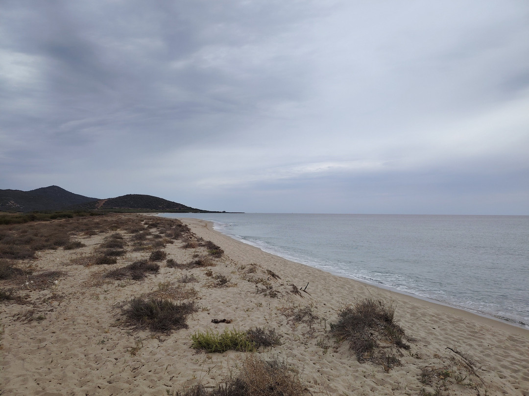 Spiaggia Di Sutt'e Riu (i 2 Pini)