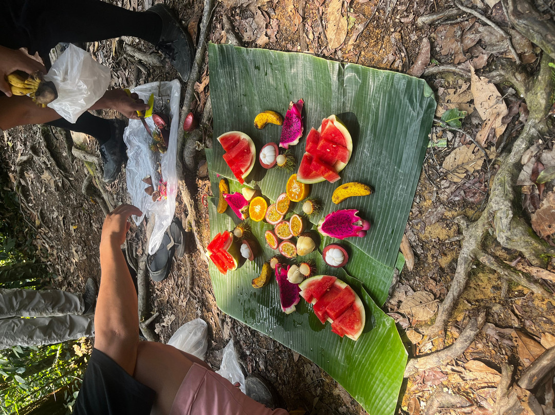 Bukit Lawang Travel-武吉拉旺必去景点