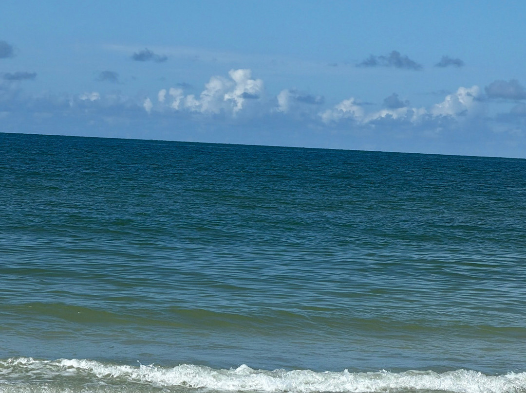 Indian Shores Beach-Indian Shores必去景点
