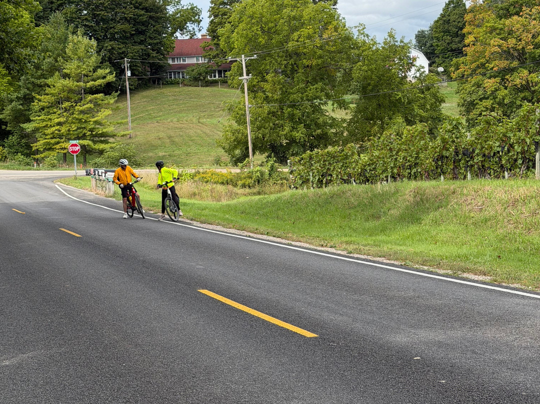 Discovery Bicycle Tours-伍德斯托克必去景点