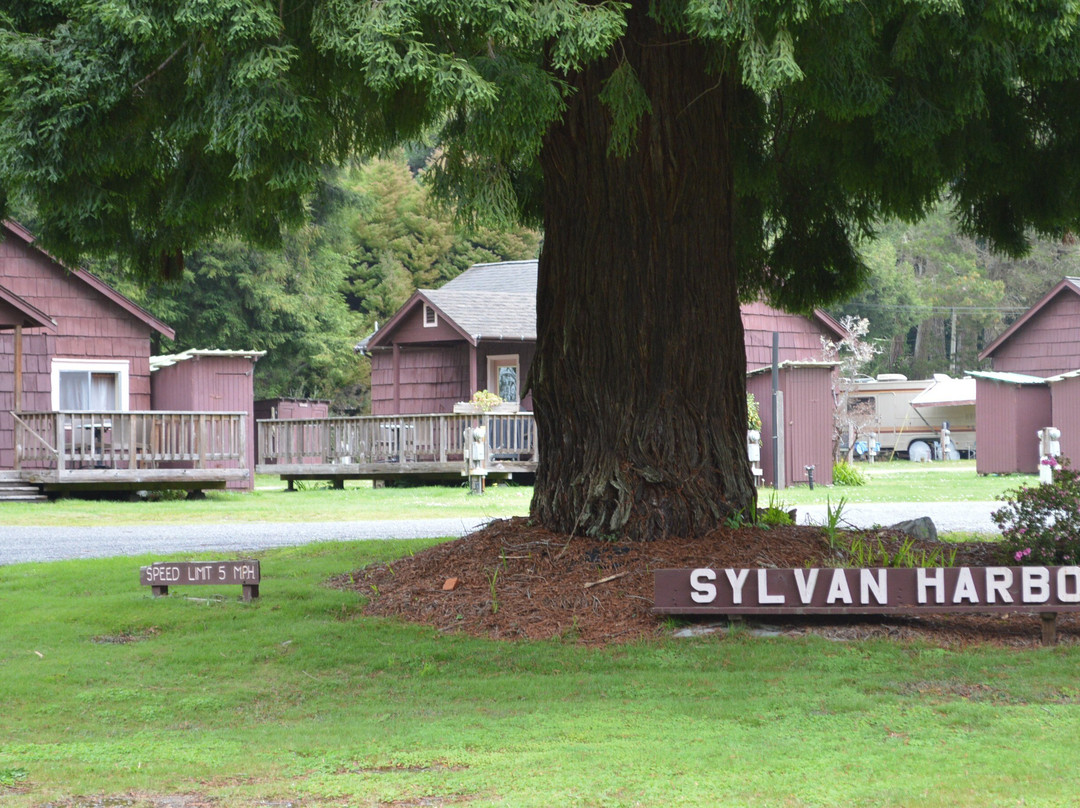Sylvan Harbor RV Camp & Cabins