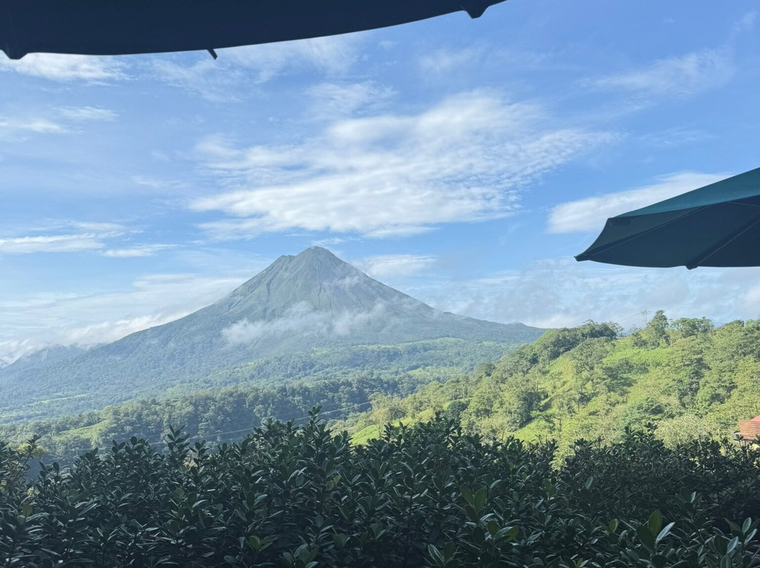My Costa Rica-圣何塞必去景点
