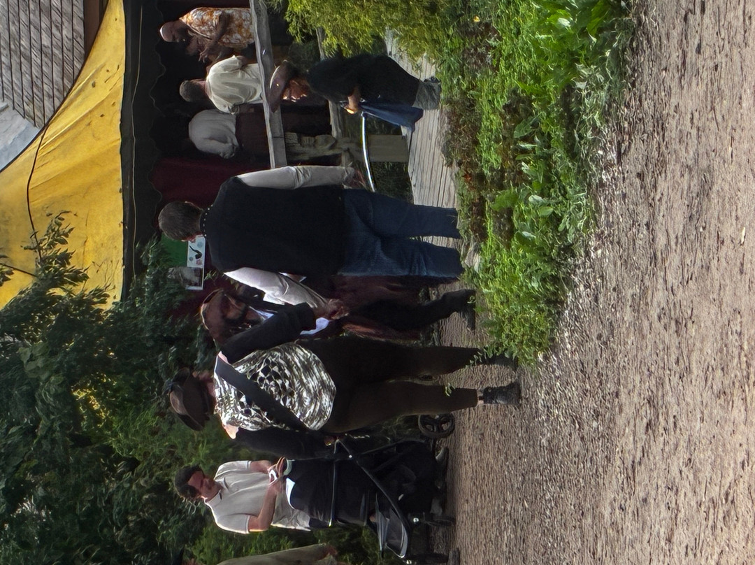 Ohio Renaissance Festival-Harveysburg必去景点