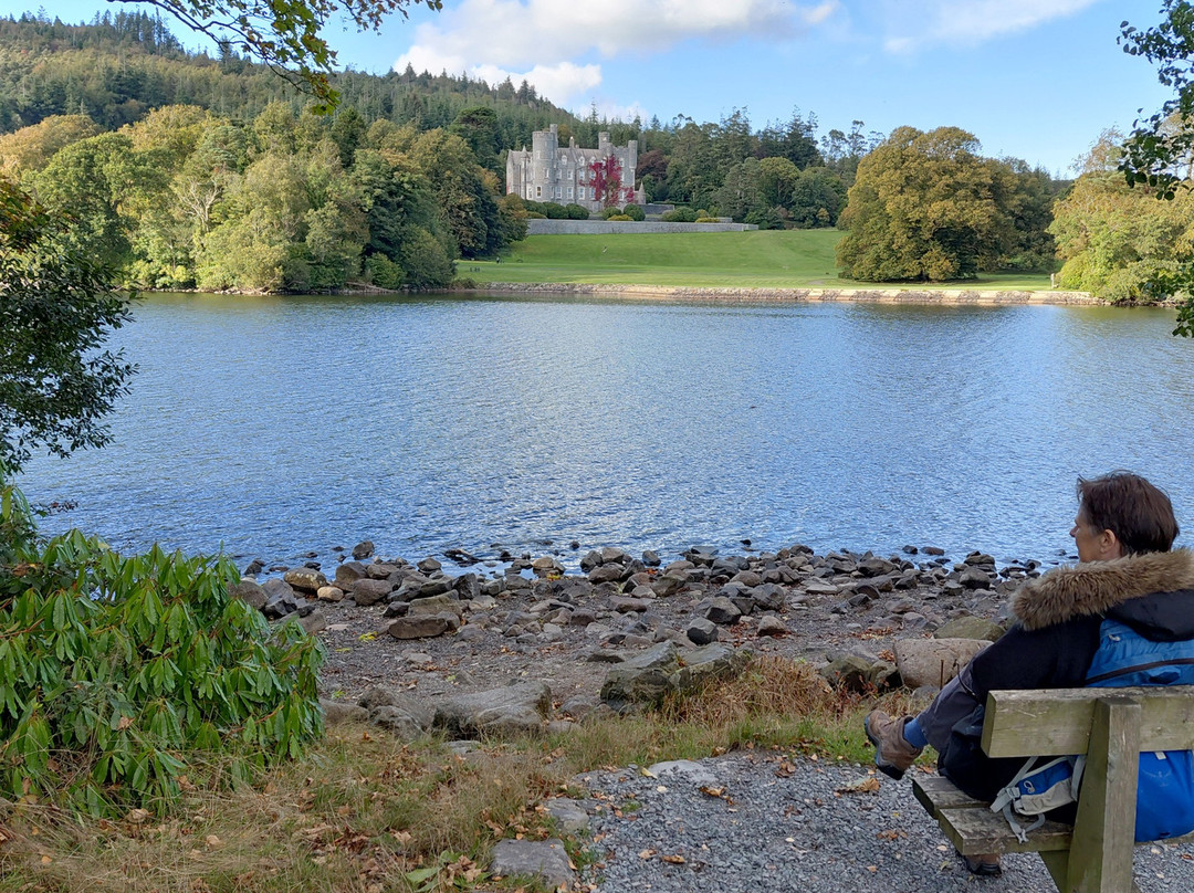 Castlewellan Forest Park-Castlewellan必去景点