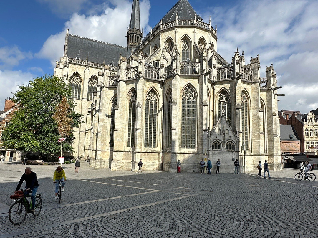 Saint Peter's Church (Sint-Pieterskerk)-鲁汶必去景点