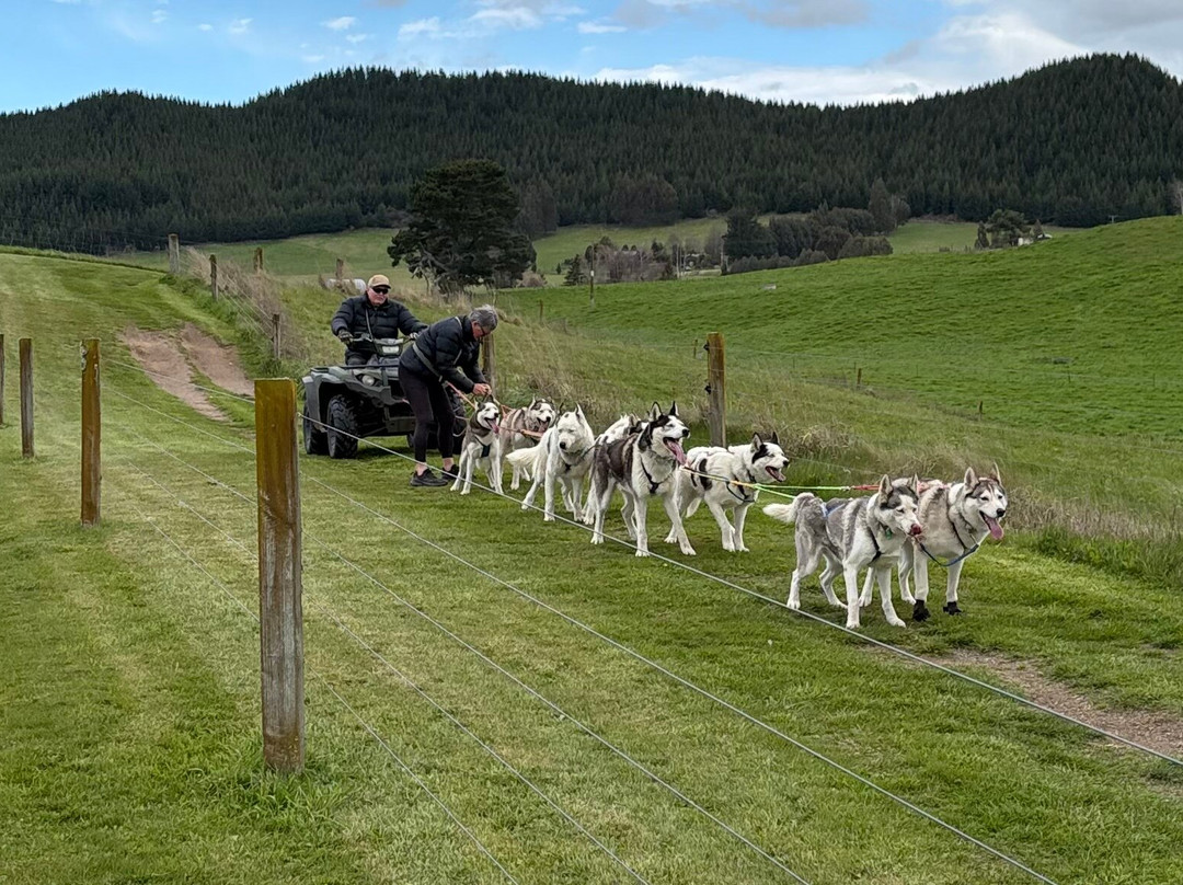 Timberline Racing Siberian Huskies-陶波必去景点