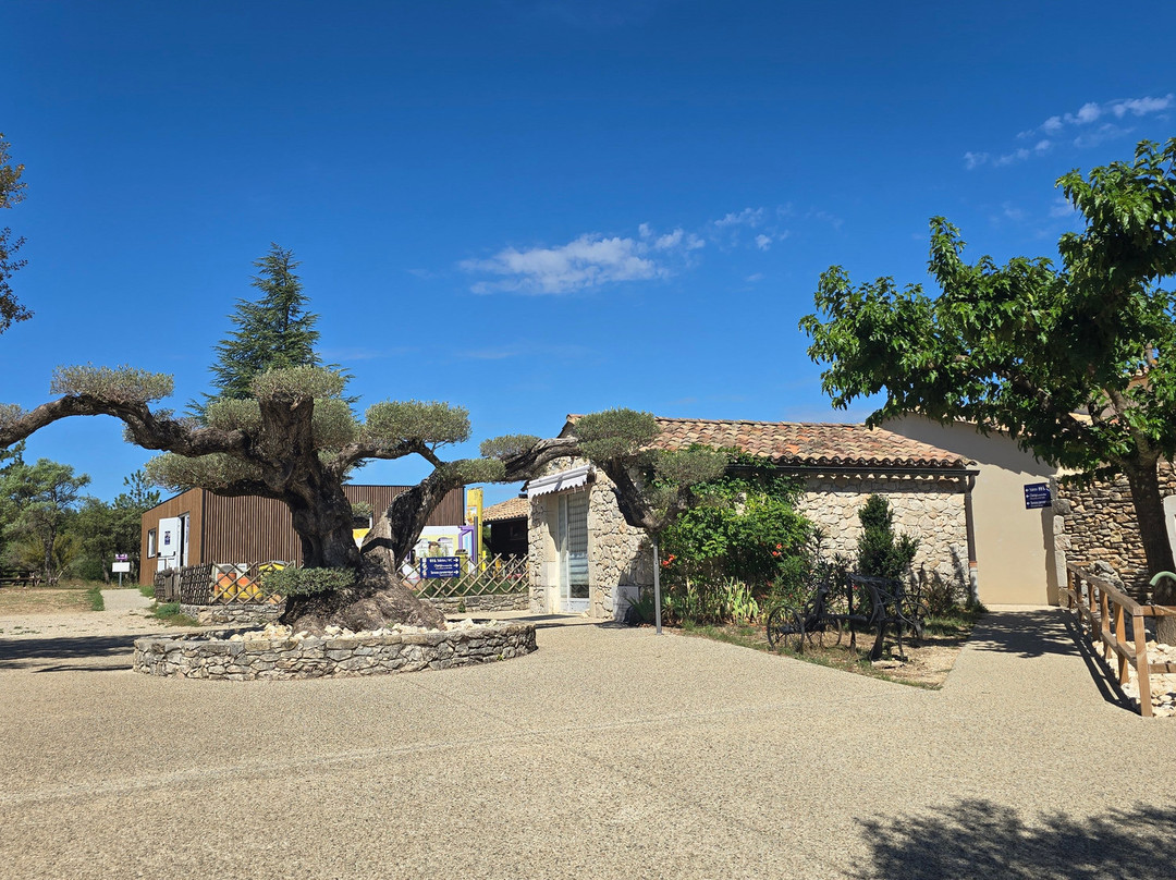 Maison de la Lavande - Domaine Lavandaïs-Saint-Remeze必去景点