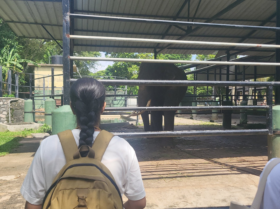 Dehiwala Zoo - Sri Lanka-拉非尼亚山必去景点