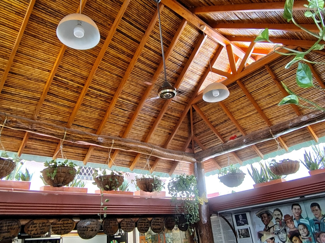 Casa Beto Murgas Museo del Acordeón-巴耶杜帕尔必去景点