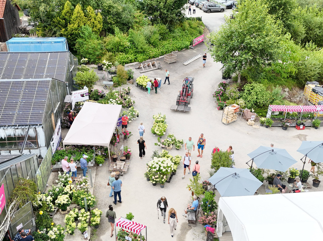 Hortensienpark Erbsmühle-Grossalmerode必去景点