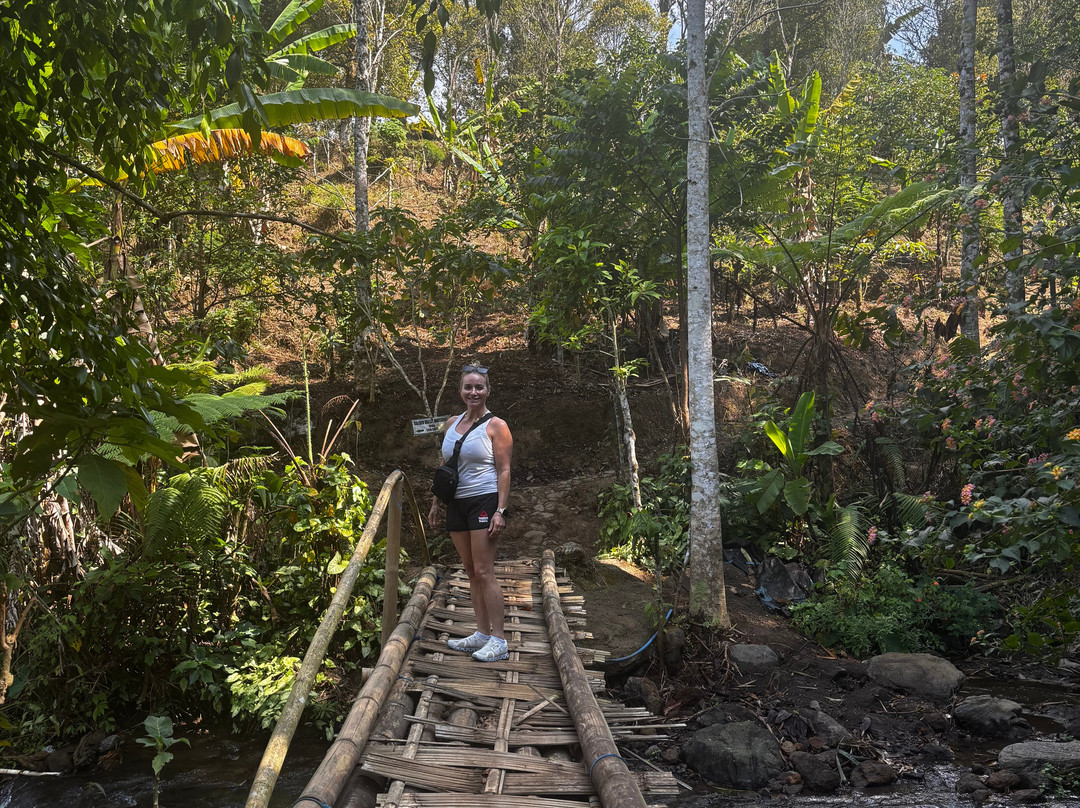 Bali Local Tour Guide-Buleleng必去景点