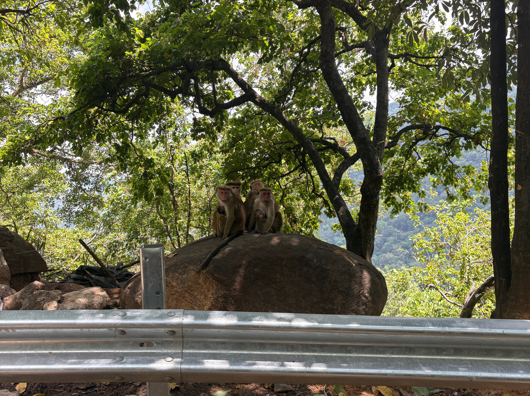 See Sri Lanka Tours-康提必去景点