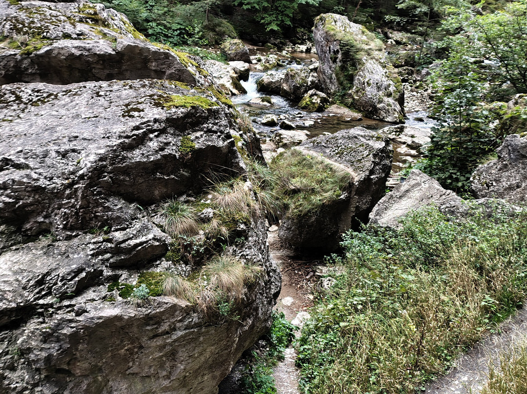 Parcul național Cheile Bicazului-Bicaz-Chei必去景点