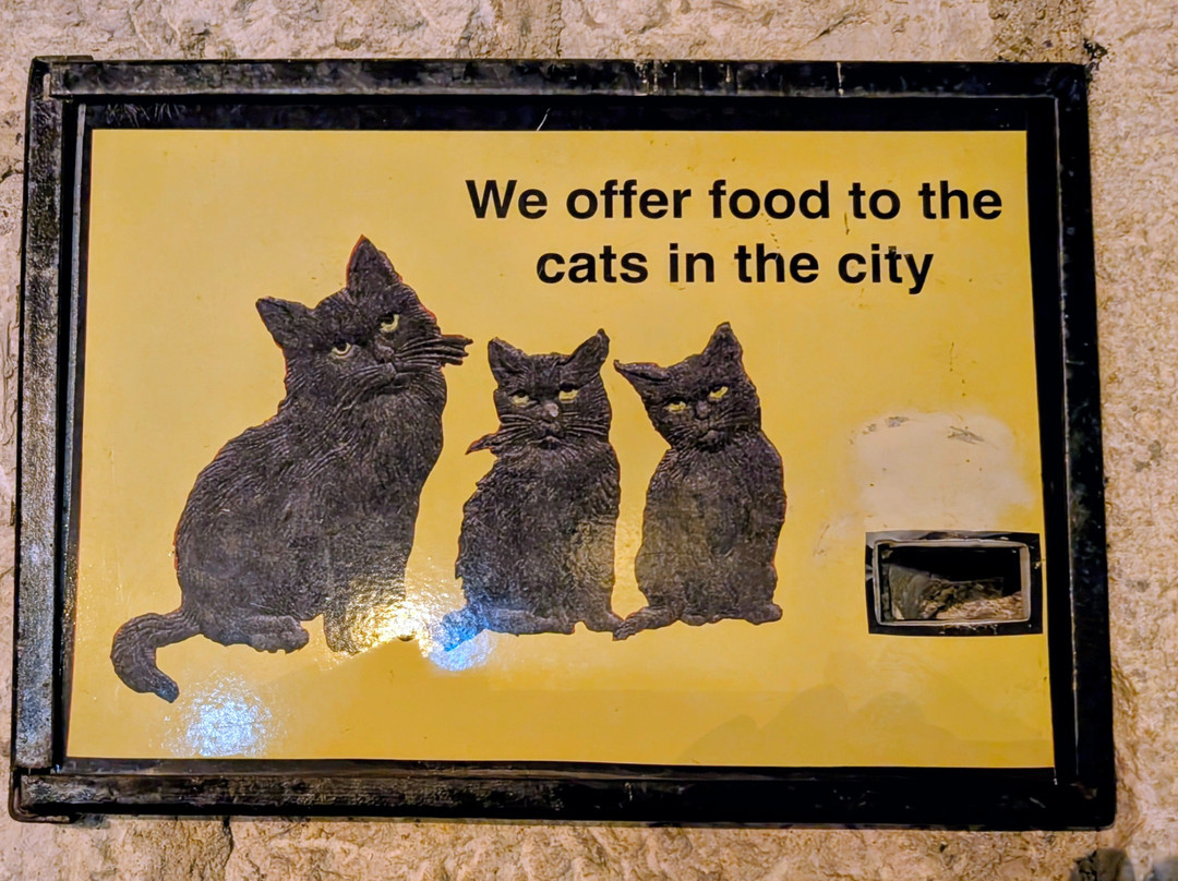 Cats Museum-科托尔必去景点