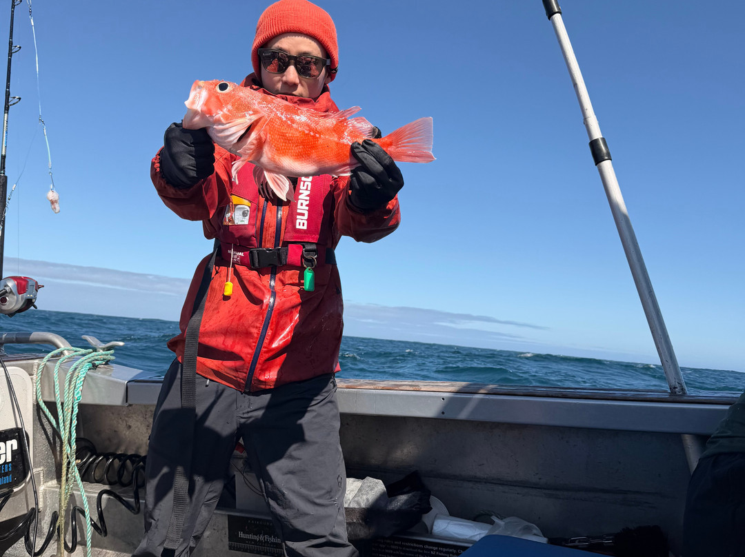 The Rodfather Fishing Charters-Kaikoura必去景点