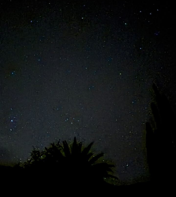 Astronomia Desde el Jardin Diaguitas-Diaguitas必去景点