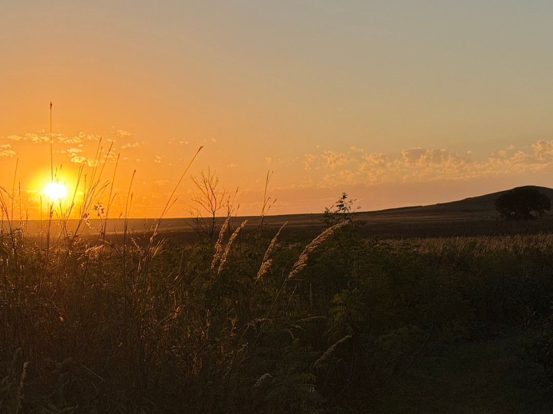 Tallgrass Prairie National Preserve-Strong City必去景点