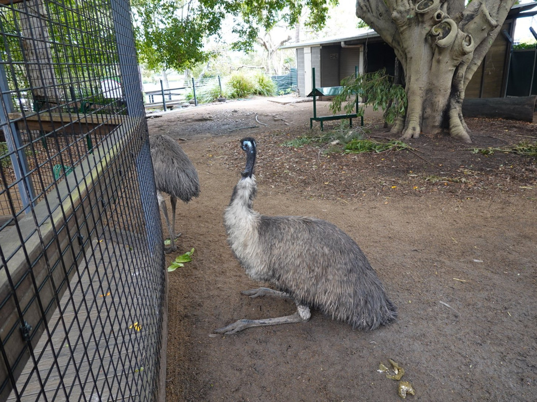 Alexandra Park Zoo-邦德堡必去景点