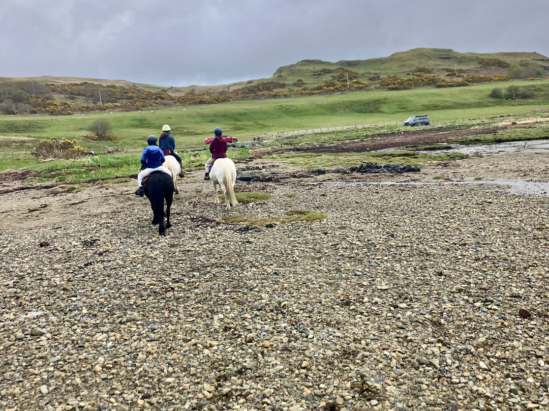Mull Pony Trekking-马尔岛必去景点