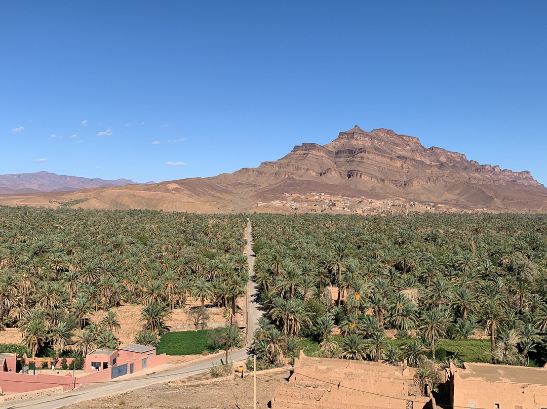 Morocco Gate Tours-非斯必去景点