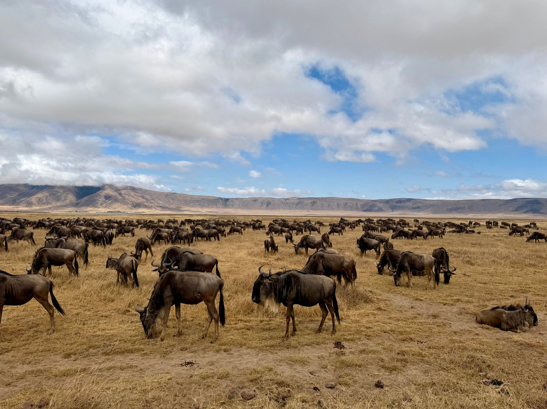 Tanzania Roadside Expeditions-阿鲁沙必去景点