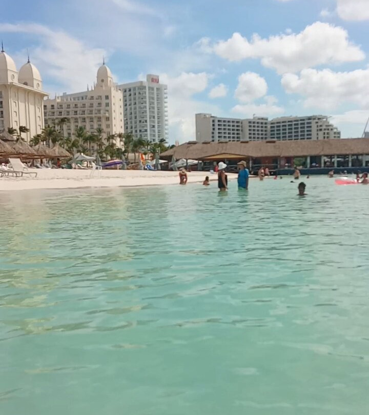 Palm Beach-棕榈/鹰海滩必去景点
