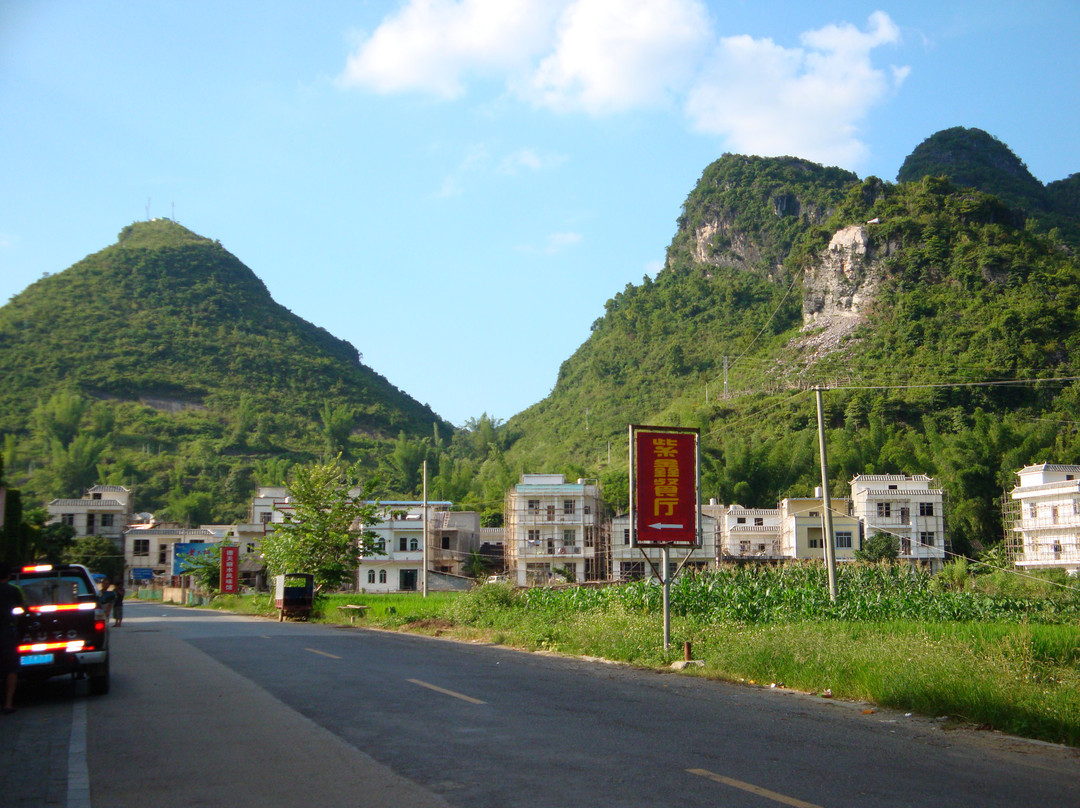 德天紫龙山庄
