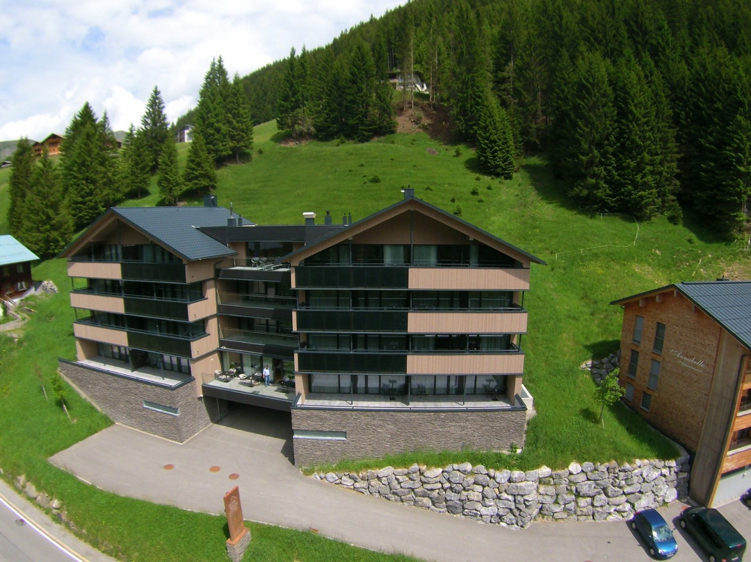 达缪尔斯酒店住宿-Alpinresort Damuls