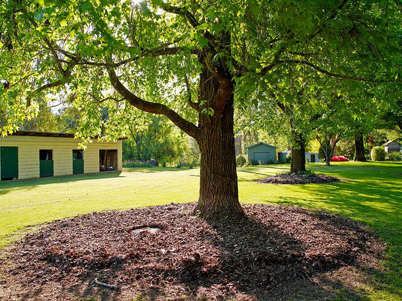 Dederang酒店住宿-Buffalo Motel and Country Retreat