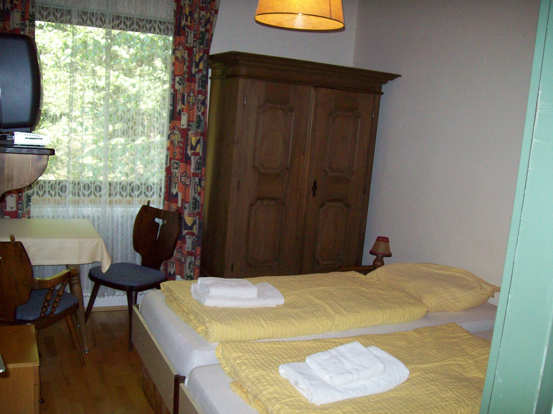 泉格伊斯恩酒店住宿-Berghof Predigstuhl