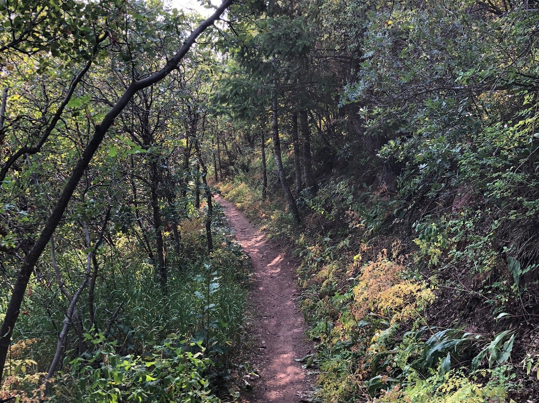 Red Mountain Trail景点图片