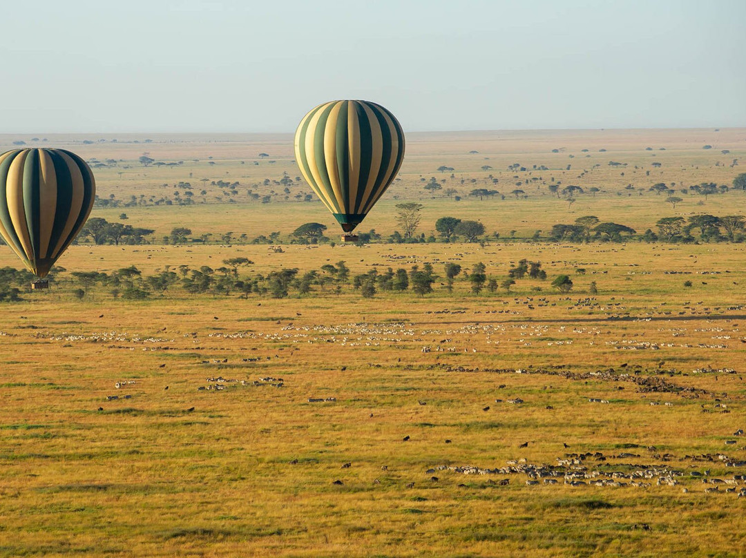 Serengeti Balloon Safaris-塞伦盖蒂国家公园必去景点