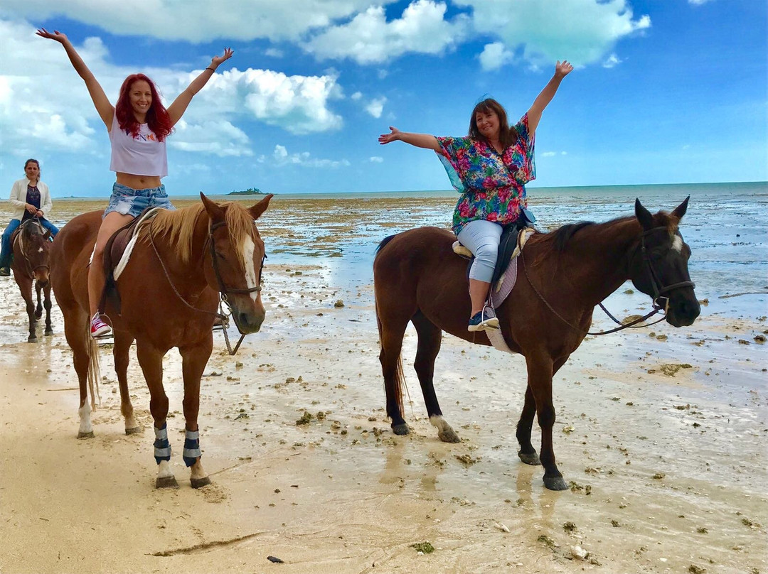 Happy Trails Stables, Windsor Equestrian Centre-新普罗维登斯岛必去景点