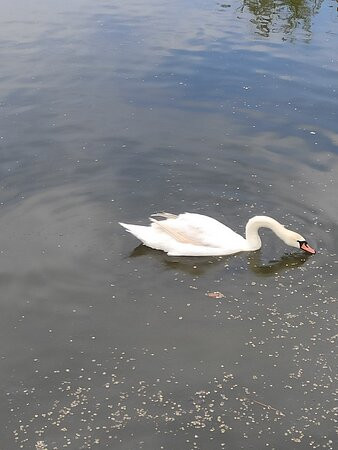 Mariupol Zoo-Mariupol必去景点
