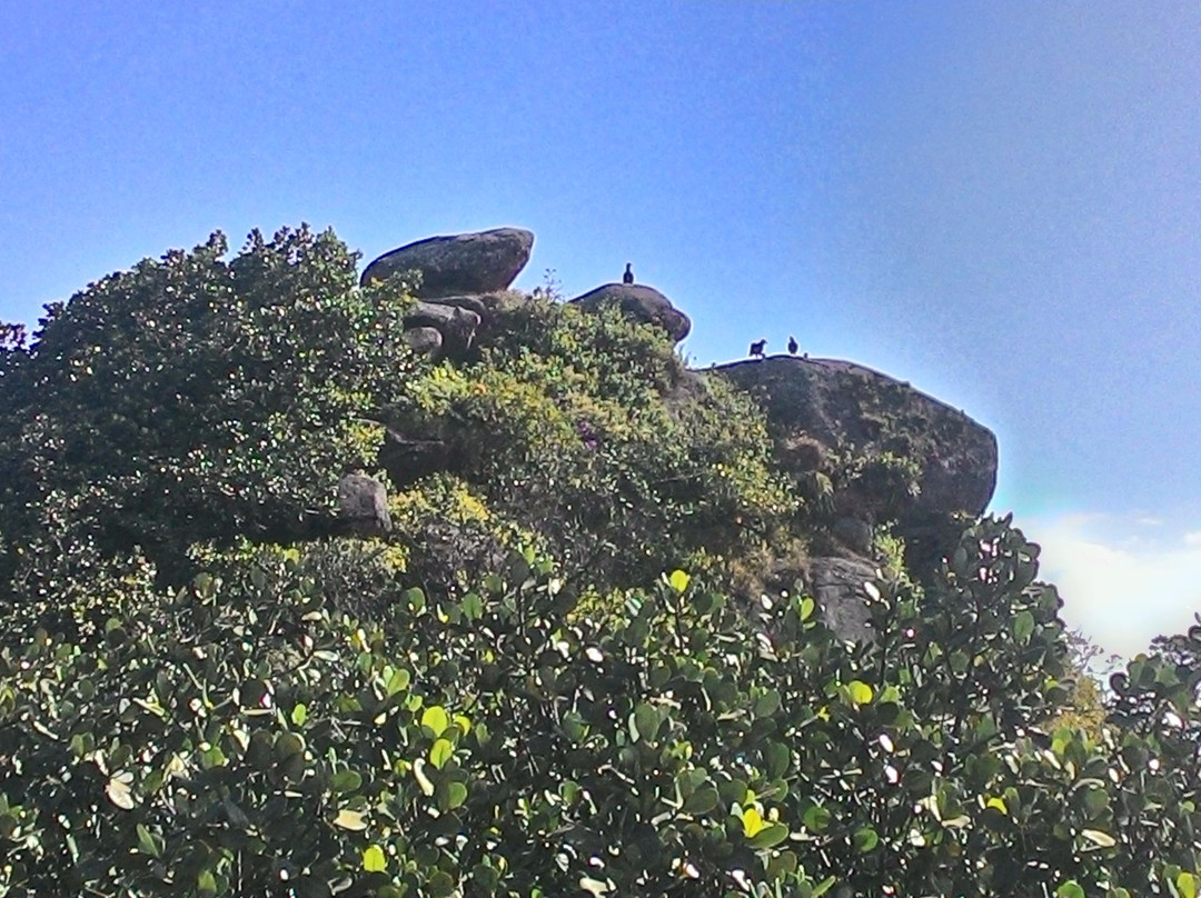 Pedra Da Rajada景点图片