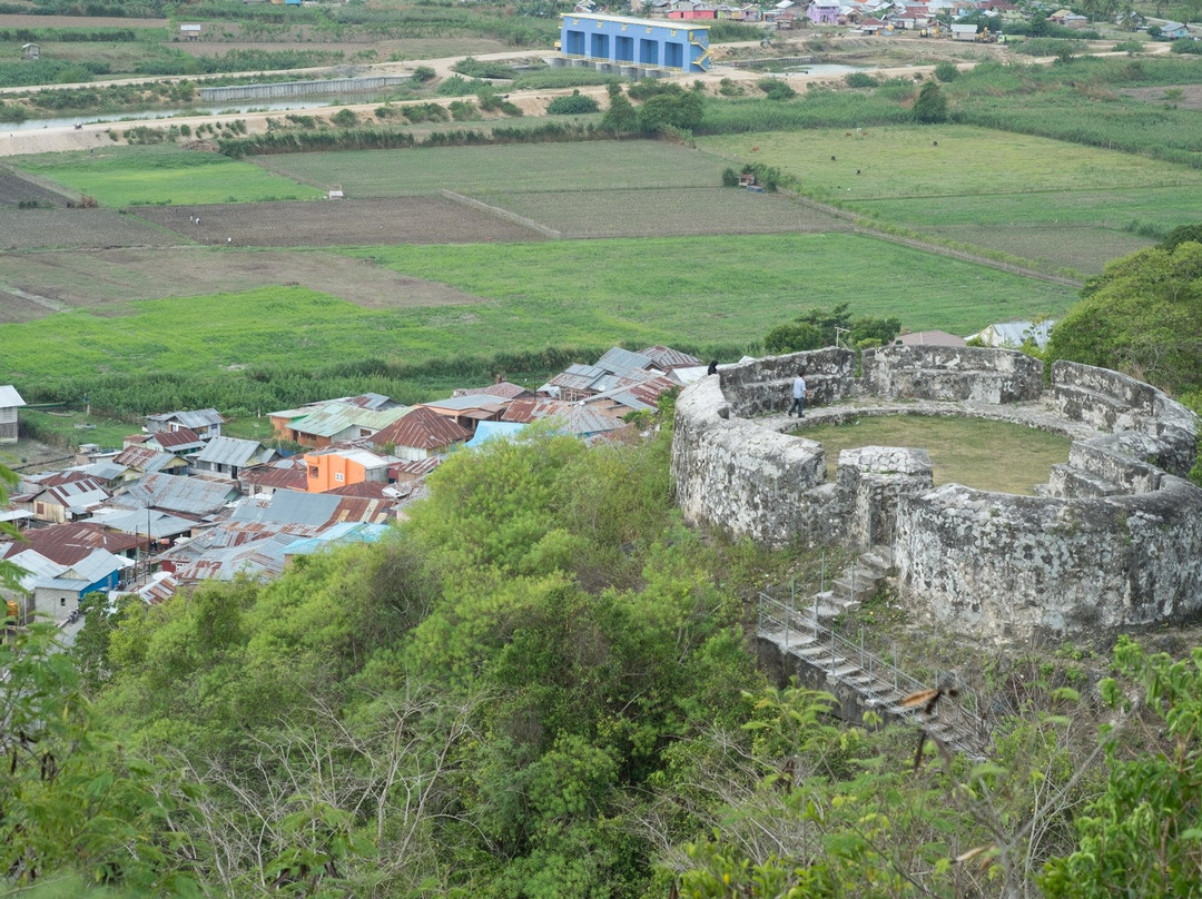 Otanaha Fortress景点图片