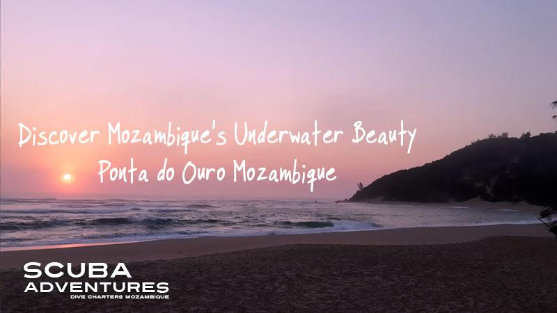 Scuba Adventures - Day Trips