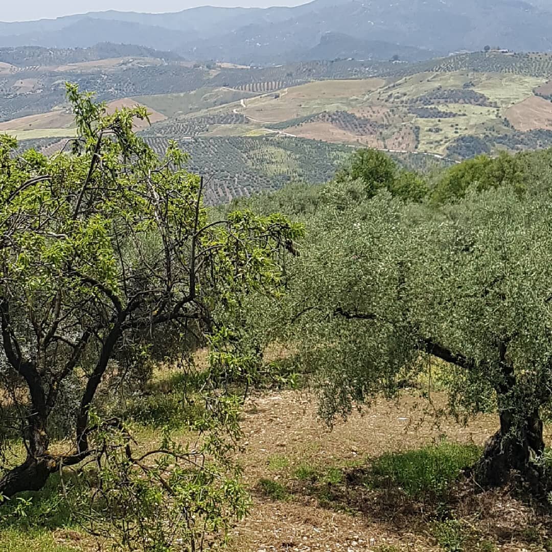 B&b Cortijo De Vilo-官方